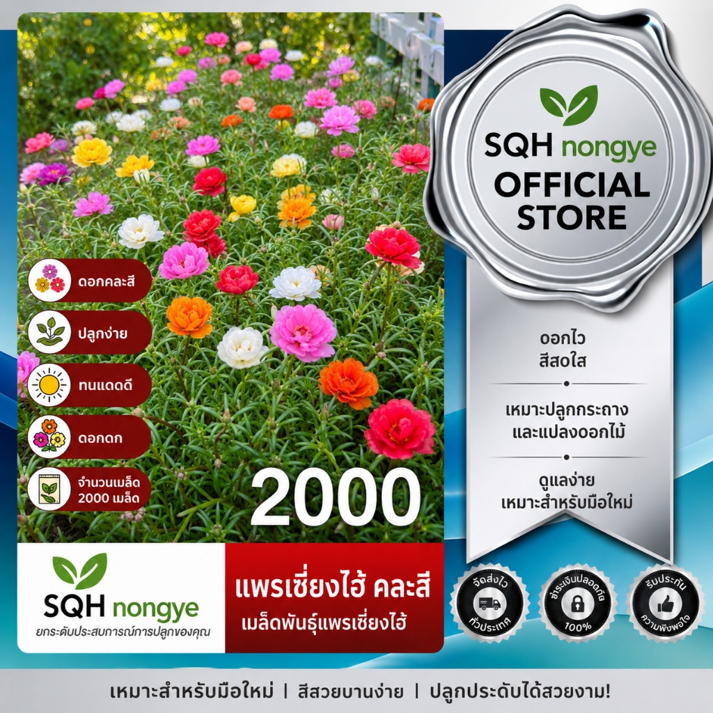 เมล็ดพันธุ์แพรเซี่ยงไฮ้คละสี 2000 เมล็ด/แพ็ค ใบสีสวยหลากหลาย โตเร็วตัดเก็บซ้ำได้
