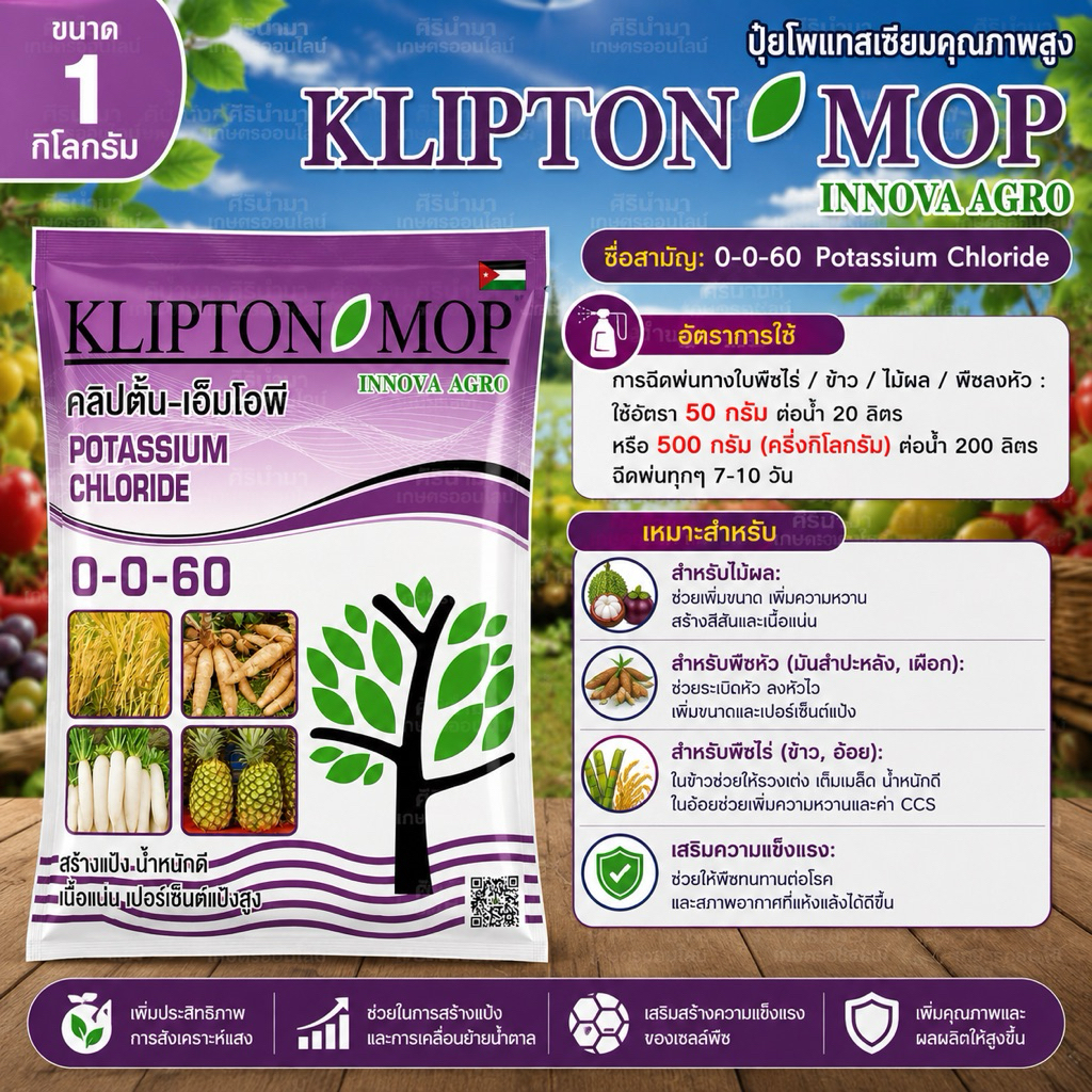 ปุ๋ยเกล็ด KLIPTON MOP 0-0-60 Potassium Chloride 1 กก. โพแทสเซียมคลอไรด์ ละลายน้ำ พ่นทางใบ สร้างแป้ง 