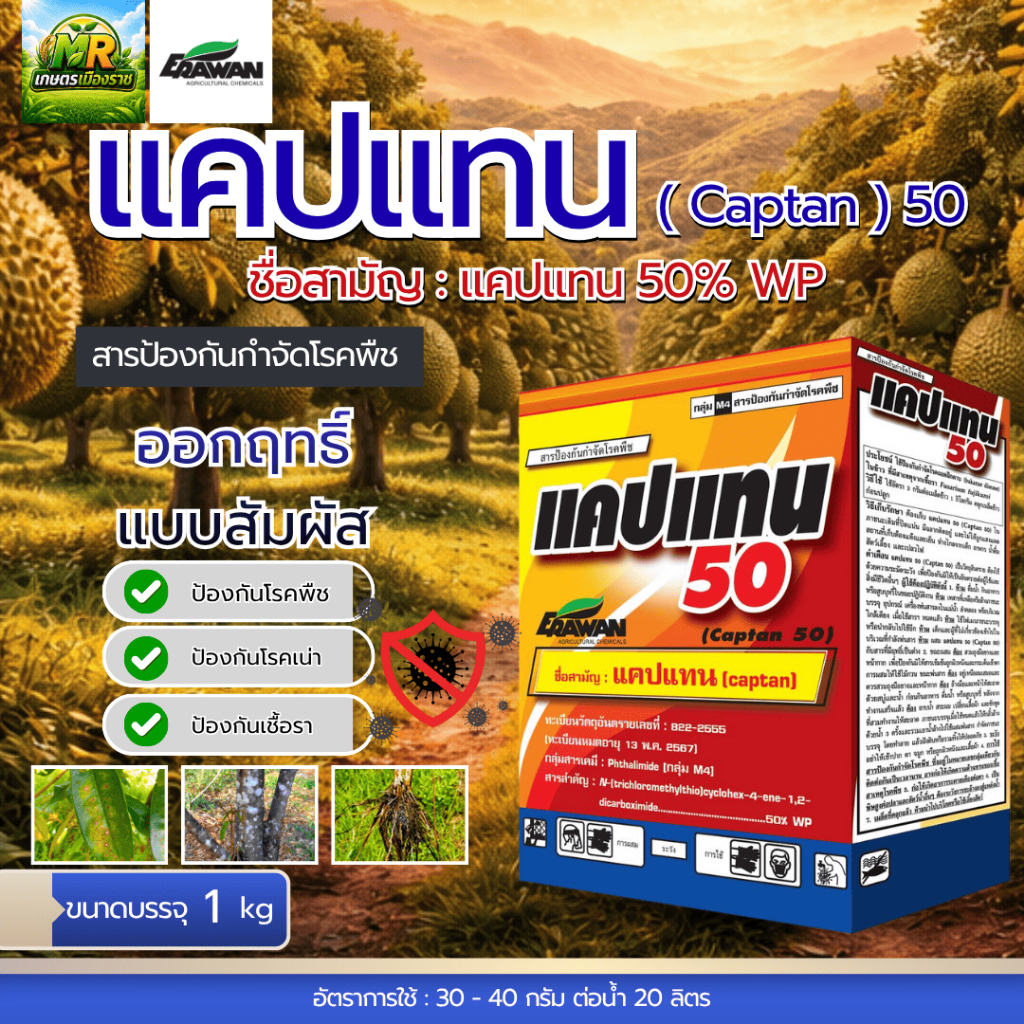 แคปแทน (แคปแทน 50% WP) 1kg #เกษตรเมืองราช #เอราวัณ