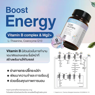 นูรีฟ เอฟวรี่เดย์ มัลติวิตามิน Nuriv Everyday MultiVitamin 30 Capsules