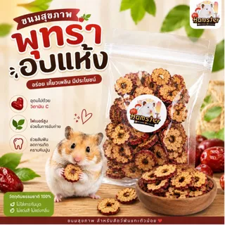 [HiHamster]พุทราอบแห้ง หั่นแว่น สำหรับแฮมสเตอร์ กระต่าย ชินชิล่า กระรอก หนูเจอร์บิล หนูแรท ขนมสัตว์ฟันแทะ ผลไม้อบแห้ง