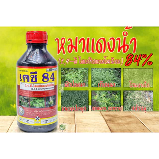 เคซี 84 2,4-ดี ไดเมทิลแอมโมเนียม 1ลิตร ยาฆ่าหญ้าใบกว้าง กก ข้าวไม่แดง ไม่งั้น เอโซ่นัด95 ดาราเอมีน 2-4ดี 2-4D หมาแดง