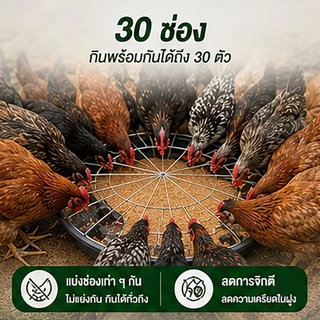 ถาดอาหารไก่ 60 ซม. 30 ช่อง พร้อมตะแกรงกันเหยียบ ถาดให้อาหารไก่ เป็ด ห่าน ลดอาหารหก พลาสติกหนา แข็งแรง สำหรับฟาร์มสัตว์ปี