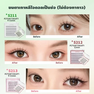 LASHSABAI ขนตาเกาหลีไม่ใช้กาว เกิร์ลกรุ๊ป ขนตาเป็นช่อ ขึ้นกล้อง ติดง่าย เบาสบายS211-213