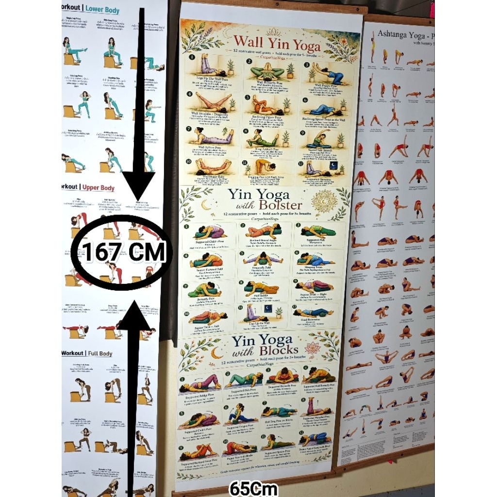 #โปสเตอร์หยินโยคะ #Yin #Yoga #หยินโยคะ ขนาดใหญ่ไซส์พิเศษ167 * 65 cmพร้อมชุดแขวน