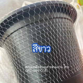 ตาข่ายยืด,ตาข่ายใส่ผลไม้,ตาข่ายพลาสติก,ตาข่ายแพคต้นไม้,ถุงตาข่าย(ไม่ปิดก้นถุง)/poly net bag