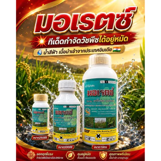 มอเรตซ์ บริษัทสิงห์เจริญ (อะนิโลฟอส 30% W/V EC)-สารกำจัดหญ้าดอกขาว หญ้าข้าวนก หญ้านกสีชมพู ผักปอดนา กกขนาก