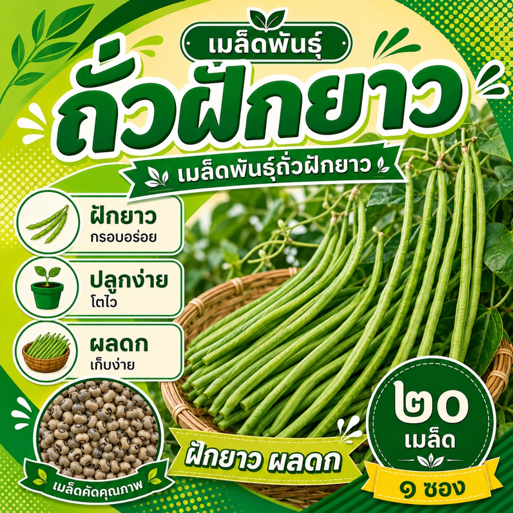 เมล็ดพันธุ์ถั่วฝักยาว บรรจุ 20 เมล็ดต่อซอง พืชเลื้อยอายุสั้น เติบโตไว ผลผลิตอุดมสมบูรณ์ ฝักยาวสีเขียวอ่อน เนื้อเหนียวนุ่