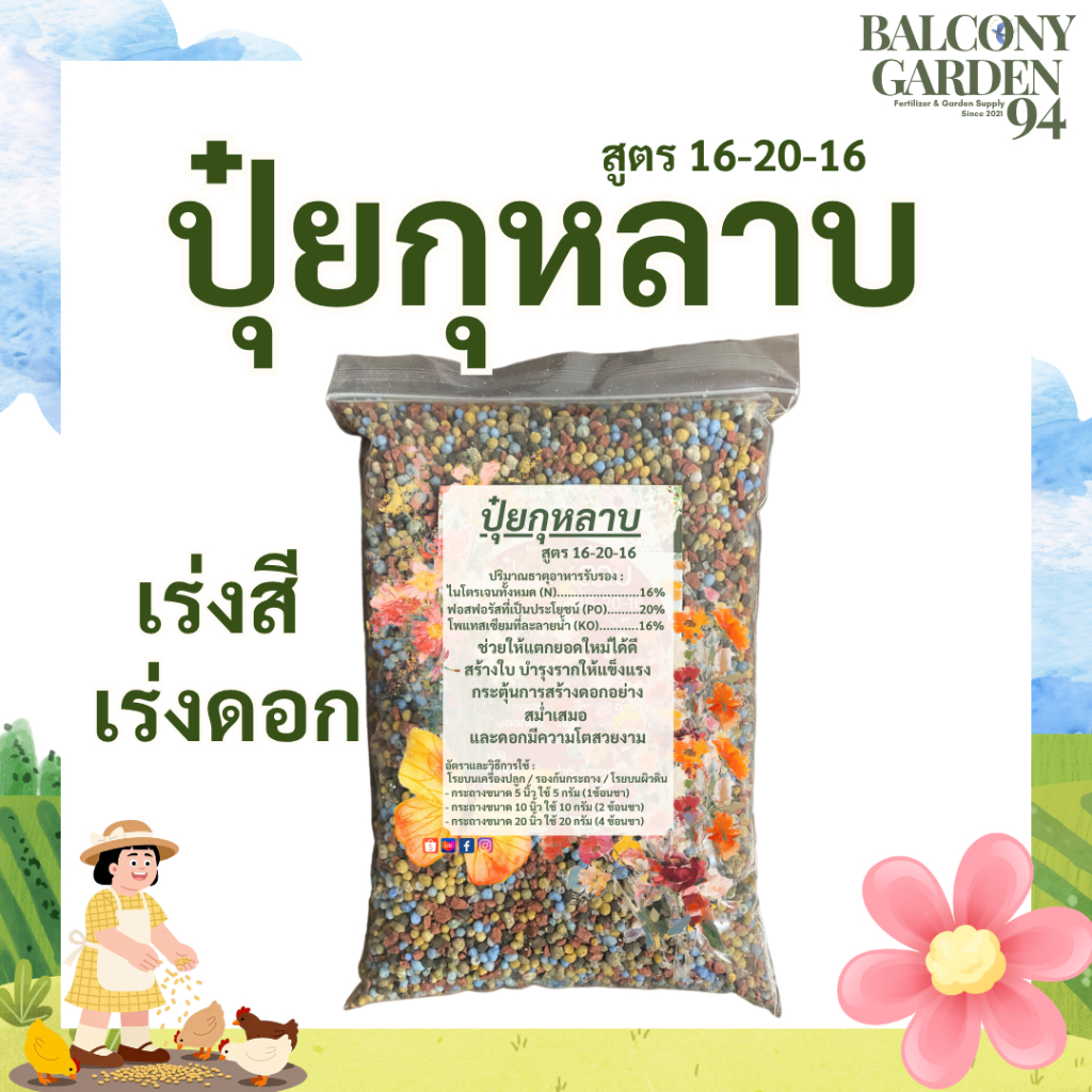 ปุ๋ยกุหลาบ เร่งดอก บำรุง ดอกใหญ่ สีสด สูตร 16-20-16 (กุหลาบ ชวนชม ดาวเรือง มะลิ ชบา เฟื่องฟ้า )