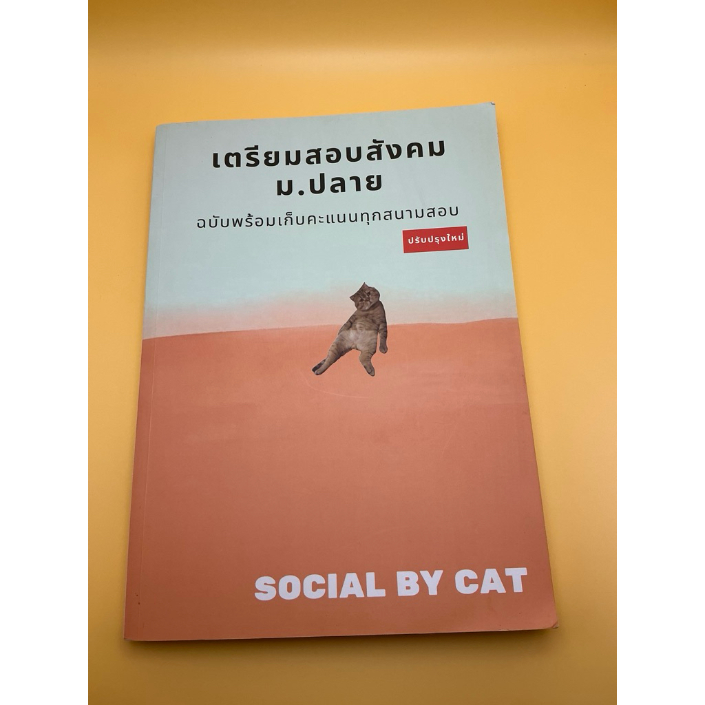 สังคมแมวส้ม social by cat เล่ม17