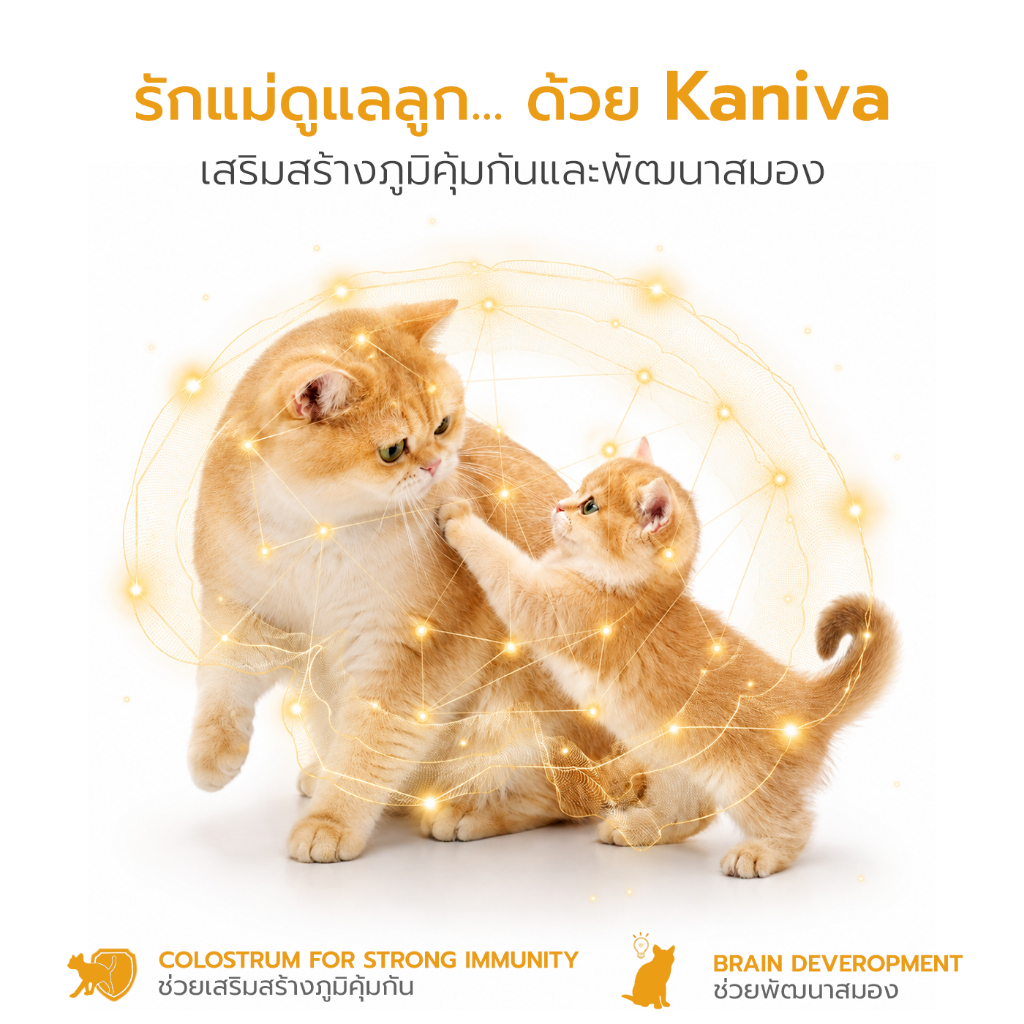 Kaniva طعام قطط أمهات وصغيرة دجاج وسلمون وأرز باللبأ — صورة 6