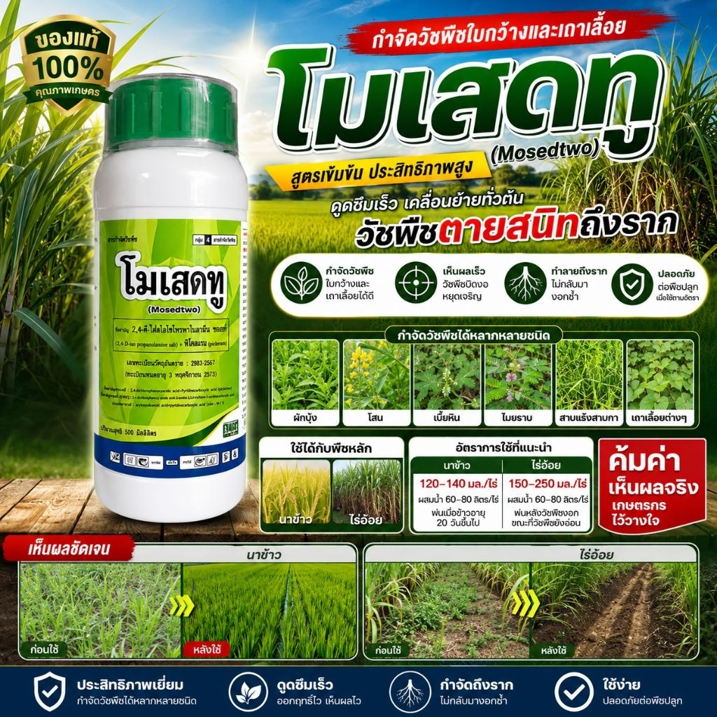 โมเสดทู 500 ซีซี 2,4-Dไตรไอโซโพรพาโนลามีน+พิโคลแรม สารกำจัดวัชพืชใบกว้างและเครือเถาได้ถึงราก ใช้ได้ทั้ง นาข้าวและไร่อ้อย