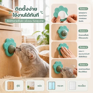 แคทนิปบอล กัญชาแมว หญ้าแมว แคทนิป กันชาแมว แคทนิป แมว กัญชาเเมว แคทนิปแมว catnip แมว ติดกำแพง