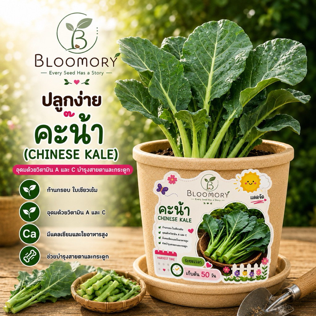 🌱เมล็ดพันธุ์ปลูกง่ายในกระปุก🪴 กลุ่มพืชทานใบ และหัว