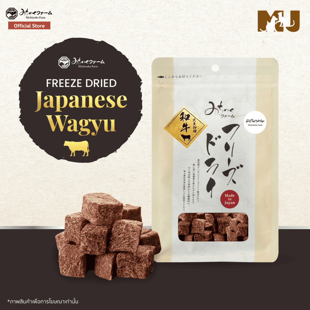 Freeze Dried Japanese Wagyu