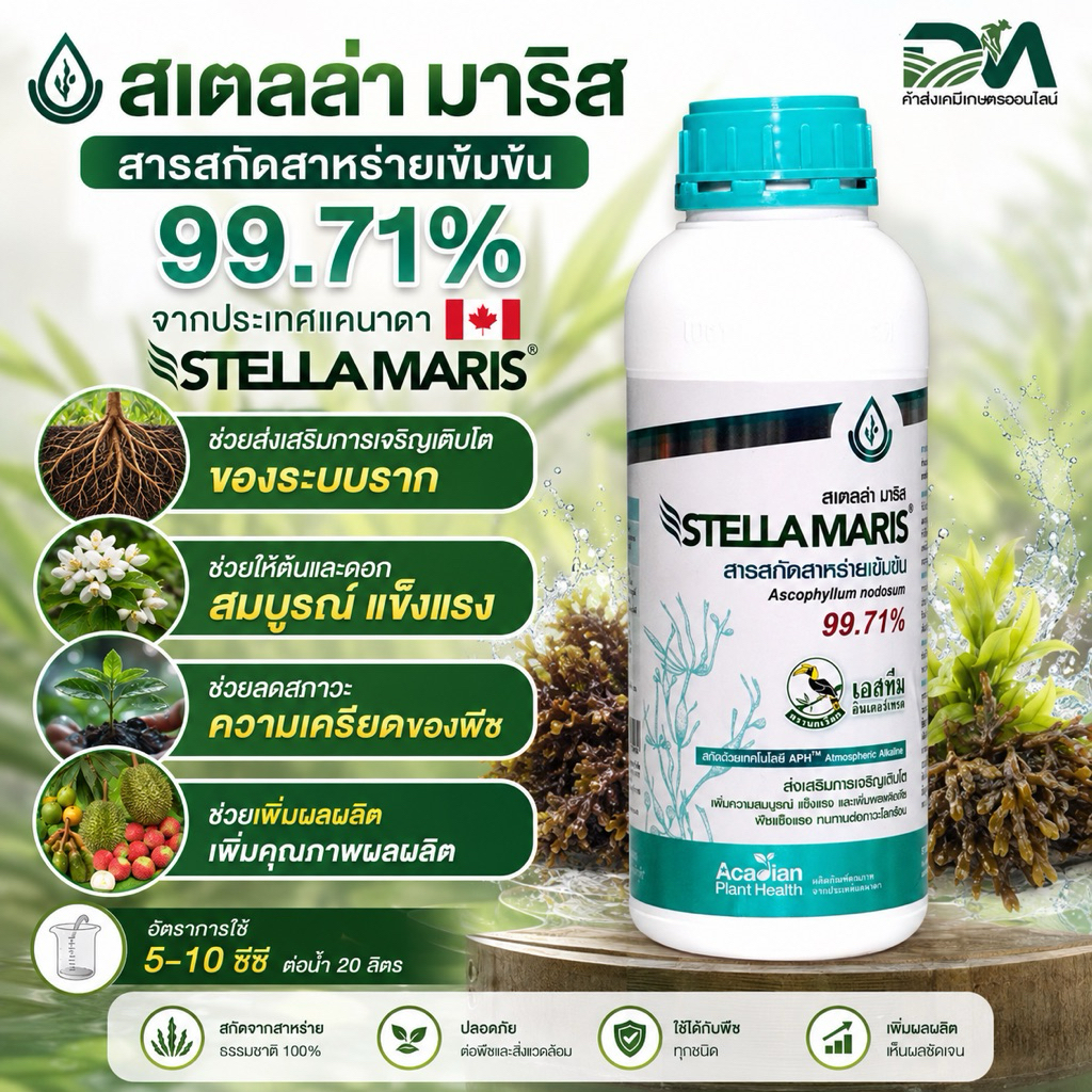 [1ขวด]สเตลล่ามาริส-ตรานกเงือก-สาหร่ายเข้มข้นจากประเทศแคนนาดา