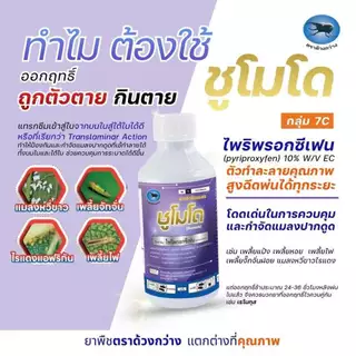 ชูโมโด ขนาด 1 ลิตร ไพริพรอกซิเฟน ตราด้วงกวาง สูตรพิเศษ สูตรเย็น ดูดซึม คุมไข่ เก่งแมลงวันทอง เพลี้ยตัวอ่อน เพลี้ยแป้งฯ