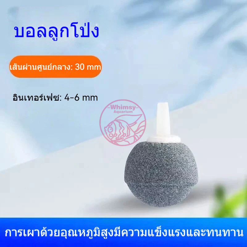 หัวทรายเพิ่มออกซิเจนสำหรับตู้ปลา ตู้กุ้ง สัตว์น้ำทุกชนิด ฟองแรง ออกทุกรู ฟองไม่ใหญ่เกินไป ปลาไม่ตกใจ thumbnail 7
