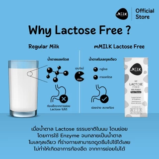 เอ็มมิลค์ นมยูเอชที ปราศจากน้ำตาลแลคโตส รสจืด 180 มล. (2 ลัง/40 กล่อง) - Item code FUMC030 ( mMilk Lactose free )