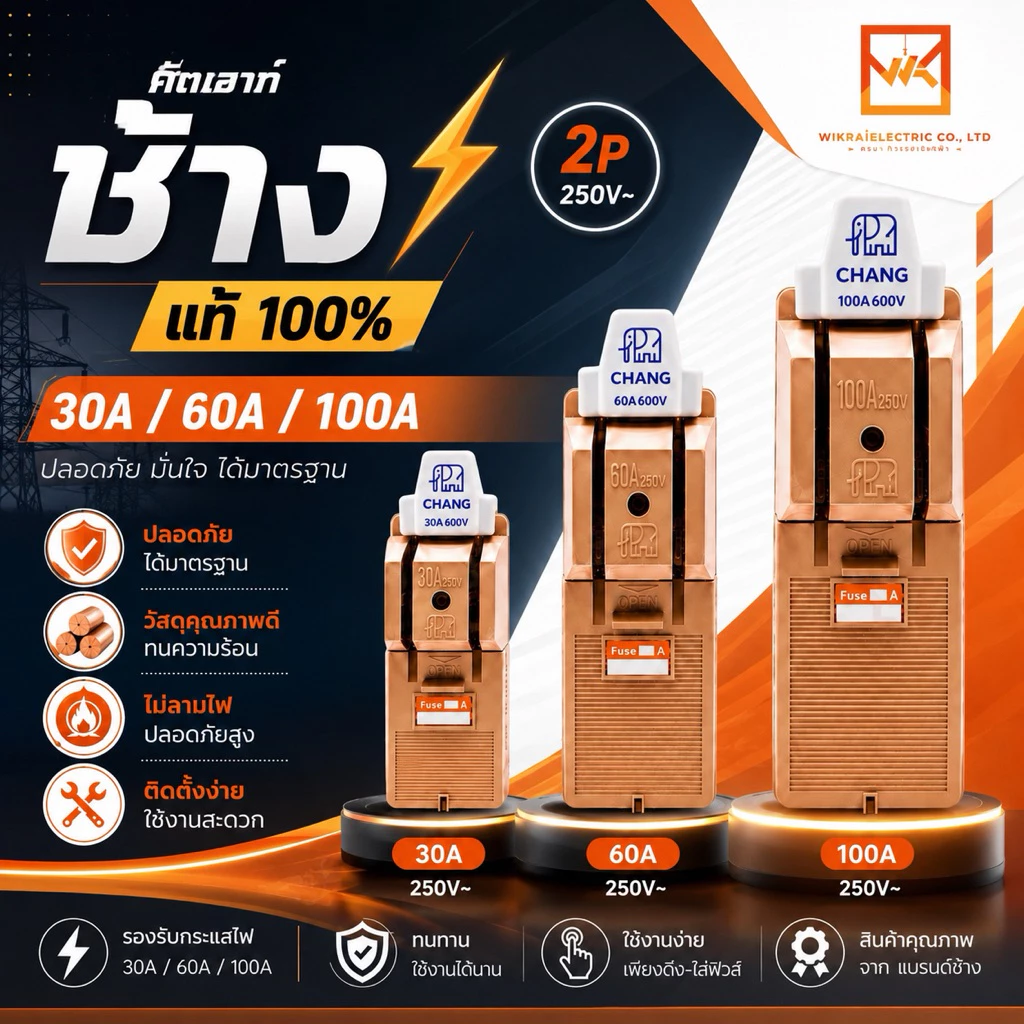คัตเอ้า คัตเอาท์ CHANG ช้าง 2P 30A 60A 100A พร้อมฟิวส์ในกล่อง คัทเอาท์ ของแท้ 100% คัดเอ้า