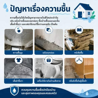 กล่องดูดความชื้น ลดความชื้น กล่องดูดความชื้นพร้อมกลิ่นหอม วางแล้วความชื้นหาย กันชื้น ตู้หอม กันเชื้อรา ใช้ได้ทุกที่