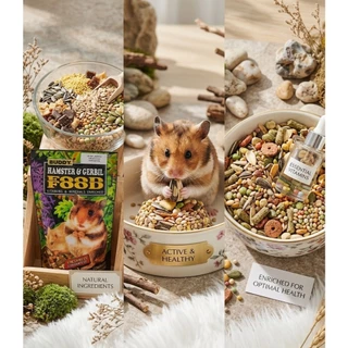 บัดดี้ (Buddy) อาหารผสมสำเร็จรูปสำหรับหนูแฮมสเตอร์และหนูเจอร์บิล อุดมด้วยวิตามินและแร่ธาตุ 0.5 ปอนด์ Exp:11/2027