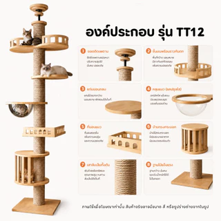 🐱[PetParadise.th]🐶คอนโดแมวติดเพดาน แท่นเสาปีนป่าย เหมาะกับเพดานสูง 260-320cm เพิ่มความสูงได้