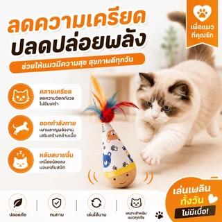 ของเล่นแมว ไม้ส่ายไม่ล้ม ของเล่นแมวมีขนนก ของเล่นแมวอัตโนมัติ แมวเล่นเองได้ ของเล่นแมวไม้ธรรมชาติ ทนกัด ทนข่วน