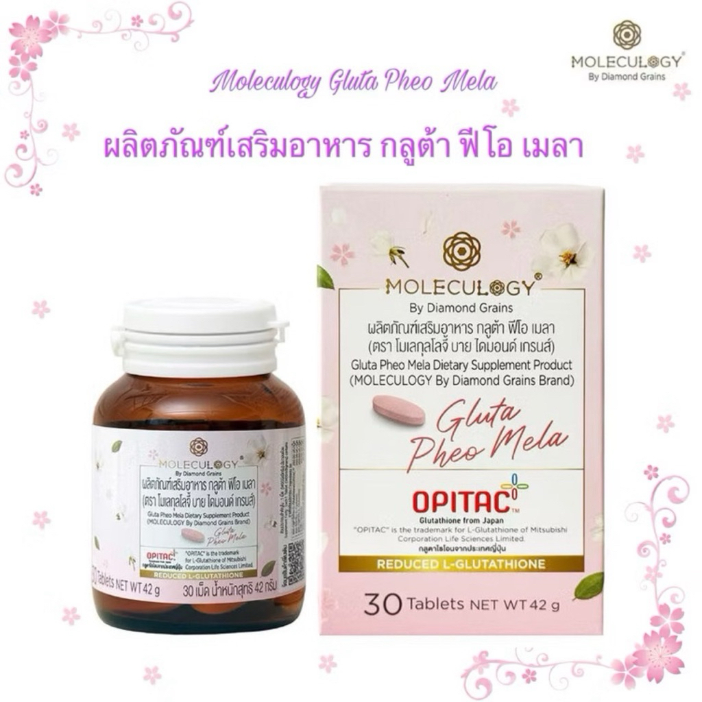 รุ่นใหม่ปี 2026Moleculogy Gluta Pheo Mela