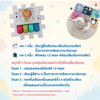 HaaveBricks กล่องกิจกรรม 6 in 1 เสริมพัฒนาการ บล็อกตัวต่อ ของเล่น