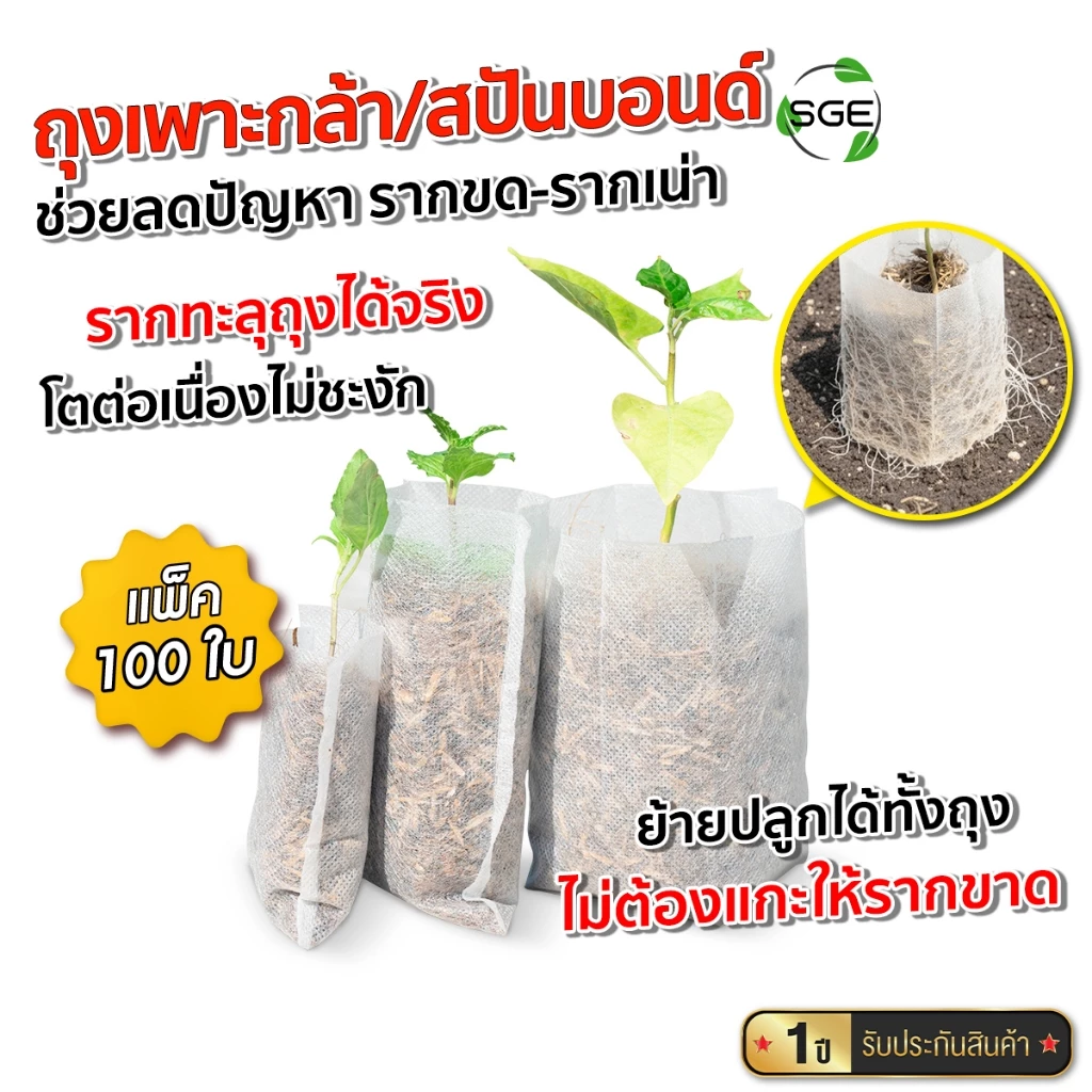 SGE ถุงเพาะกล้า วัสดุปันบอนด์ รากทะลุได้ รากไม่เน่า ย่อยสลายง่าย แพ็ค 100 ใบ มีหลายขนาดให้เลือก
