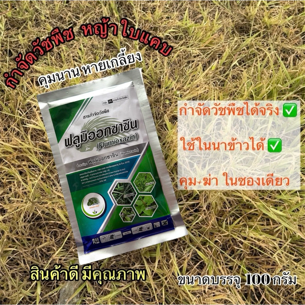 ‼️ฟลูมิออกซาซิน 100กรัม คุม+ฆ่าในซองเดียว คุมหญ้าได้นาน แห้งตายสนิท