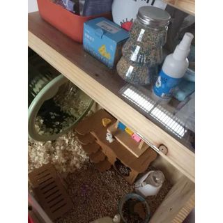 [Hmasterthailand] บ้านหลบไม้ บันได DIY สำหรับ แฮมสเตอร์ เม่นแคระ ดอร์เมาส์ ชูก้าง