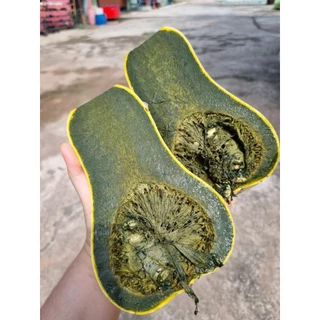 ฟักทองเนื้อดำ กัวเตมาลา กรีนอาโยเต้ (ชุดละ 25 เมล็ด)