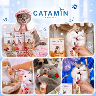 CATAMIN ขนมแมวเลียเสริมวิตามิน (12 ซอง คละ 3 สูตร)