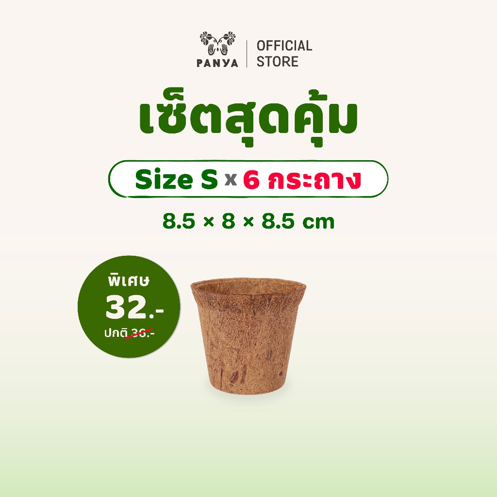 เซ็ตสุดคุ้ม - กระถาง ใยมะพร้าว ขนาดเล็ก กลาง และใหญ่ เป็นมิตรต่อสิ่งแวดล้อม [Natural Coconut Pot]