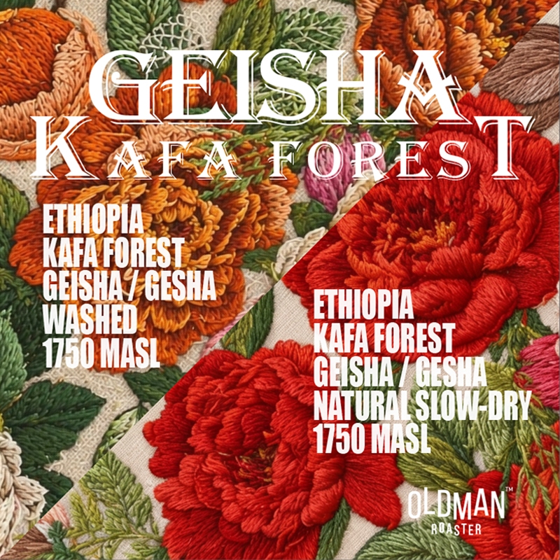 เมล็ดกาแฟ ETHIOPIA KAFA FOREST GEISHA " 2 Process " (คั่วอ่อน) by OLDMAN ROASTER