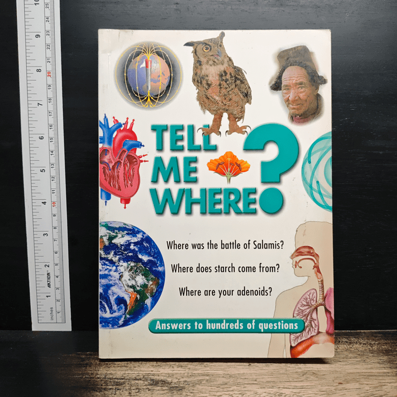 ⁠Tell ME Where? 🏷️1196844