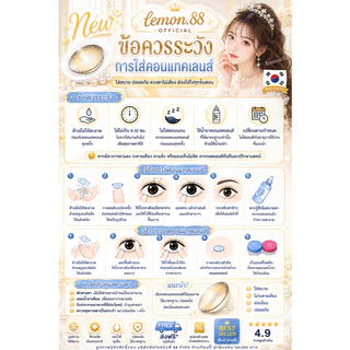 💋 Wink Nara/Lila Gray Brown บิ๊กอาย สุดปังพร้อมส่ง คอนแทคเลนส์ รายเดือน มีอย แถมตลับฟรี เลนส์นิ่ม สวยมาก