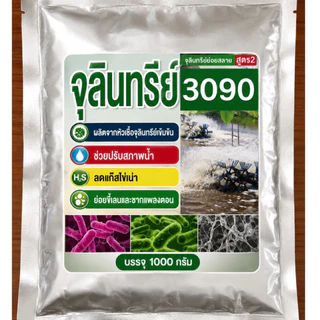 จุลินทรีย์ย่อยสลาย บาซิลลัสสปอร์3090 ช่วยย่อยสลายของเสียเเละเศษอาหารได้เร็ว