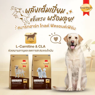 [ล็อตใหม่ กระสอบใหญ่] Smartheart Gold Fit Firm อาหารสุนัข สมาร์ทฮาร์ท หมา สุนัขสูงวัย หมาแก่ ฟิต 7+ ส่งฟรี 20kg