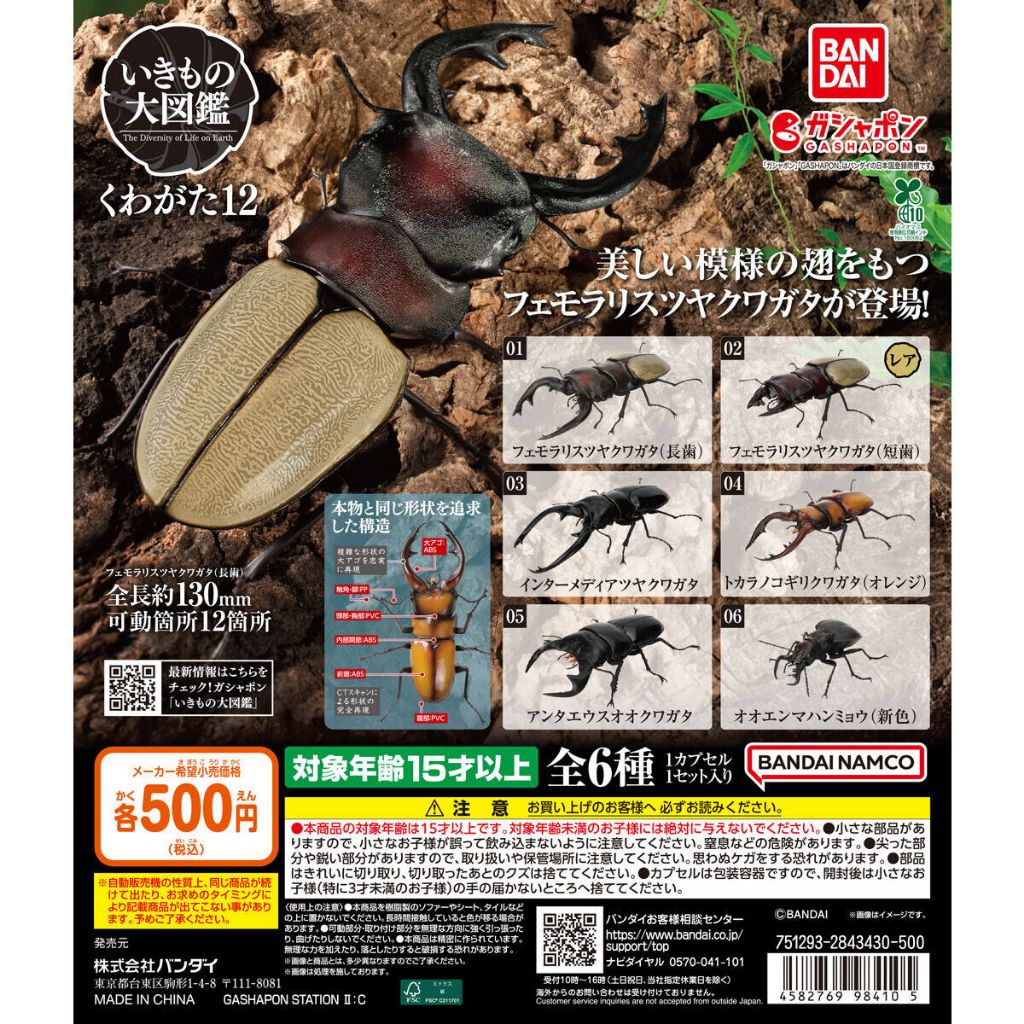 โมเดล Stag Beetle 12 Bandai Living Creatures Encyclopedia Gashapon ด้วง กาชาปอง Ikimono