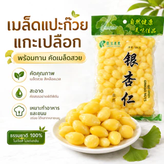 แปะก๊วยสด เม็ดใหญ่ ไม่ดำ | ไม่ต้องแทงไส้ ไม่ขมแม้ไม่ออก | คัดเกรด บำรุงสมอง Ginkgo Nuts