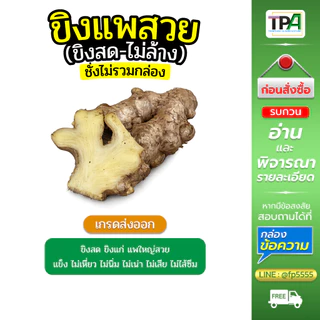 ขิงแพสวย - ขิงสดไม่ล้าง (Fresh Ginger) 1, 2, 3, 4, 5 กก./ KG. เกรดส่งออก เก็บห้องเย็น สินค้าไทย