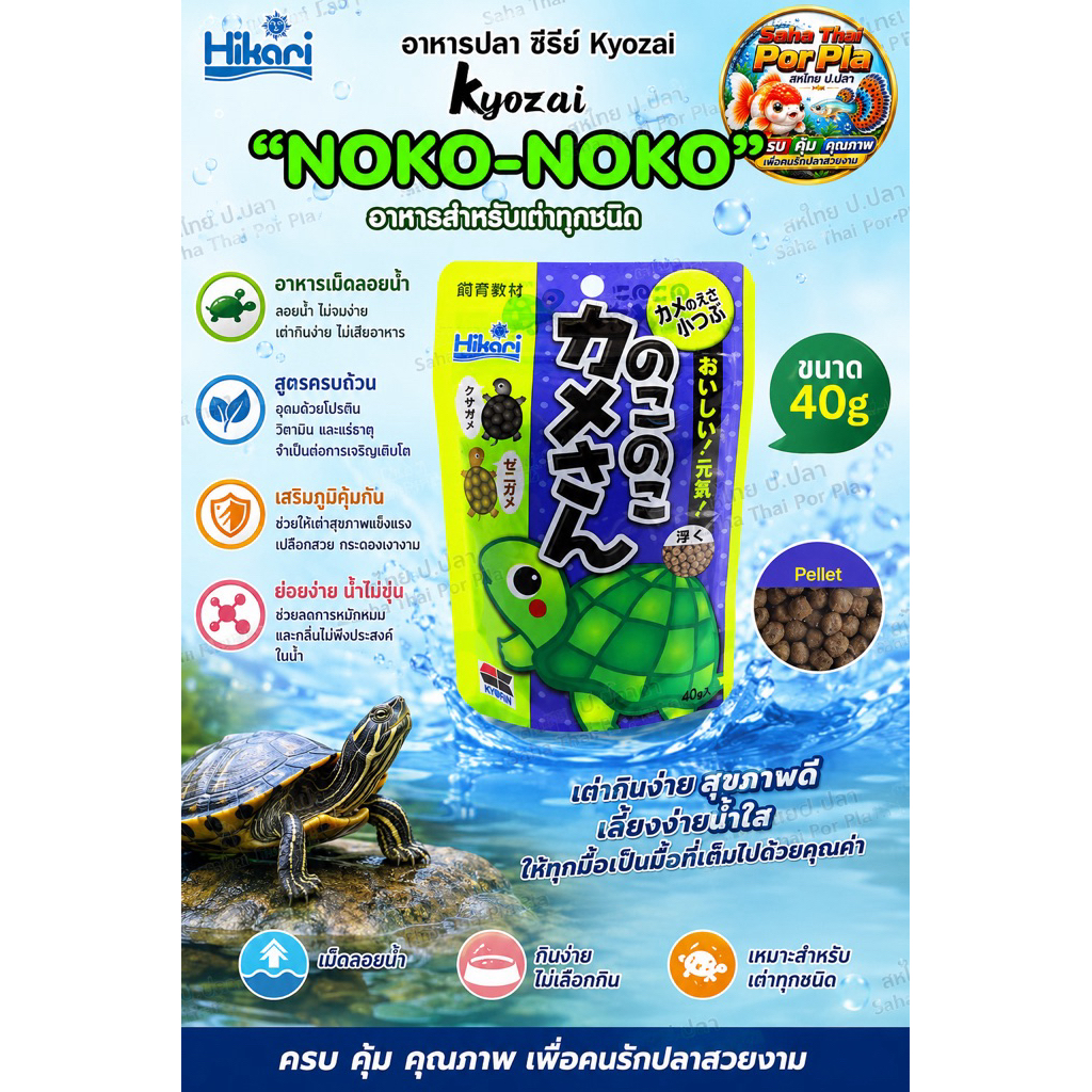 เต่าแข็งแรง โตไว กินง่าย ต้อง Hikari Kyozai “NOKO-NOKO” 💚🐢  อาหารเต่าสูตรคุณภาพจากญี่ปุ่น เม็ดลอยน้ำ