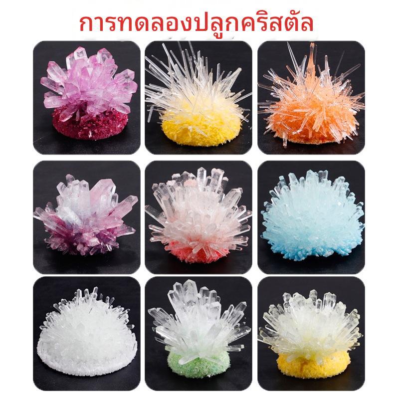 ชุดอุปกรณ์ทดลองวิทยาศาสตร์ DIY: การเจริญเติบโตของผลึก / กิจกรรมสนุกสำหรับพ่อแม่และลูก: การทดลองเกี่ยวกับหลักการตกผลึก