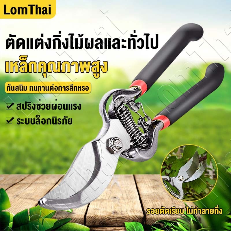 10นิ้ว กรรไกรตัดกิ่งไม้ กรรไกรแต่งกิ่ง ทำสวน กรรไกรตัดแต่งกิ่งไม้ เครื่องมือจัดทำสวน กรรไกรตัด กรรไกรตัดกิ่งไม้แบบมือถือ