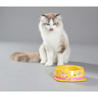 [สำหรับแถมเท่านั้น] ชามอาหารสีเหลืองลายน้องแมว Moochie x Butterbear