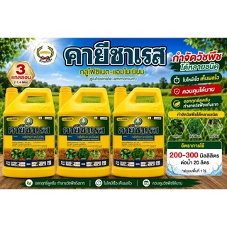 คายีซาเรส ขนาด 4 ลิตร เซท 3 แกลลอน ตราหวีทอง กลูโฟซิเนต-แอมโมเนียม 15% SL
