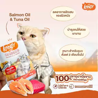 ยกโหล (*12) Kandy อาหารเปียกแมว Holistic Grain Free ทูน่าเนื้อขาว ไม่เติมเกลือ (ขนาด 70g*12ซอง)